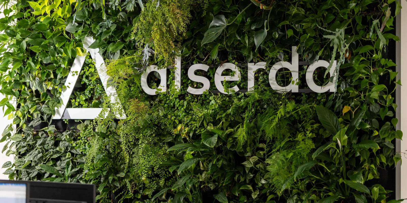 Alserda logo